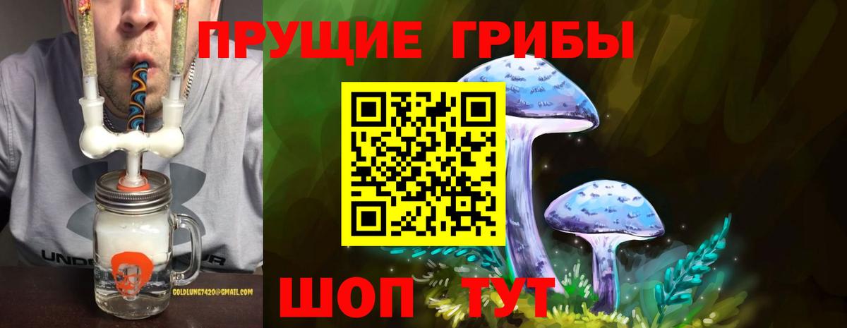 Азнакаево  Галлюциногенные грибы MAGIC MUSHROOMS  Псилоцибиновые грибы Psilocybe  Вход с VPN 